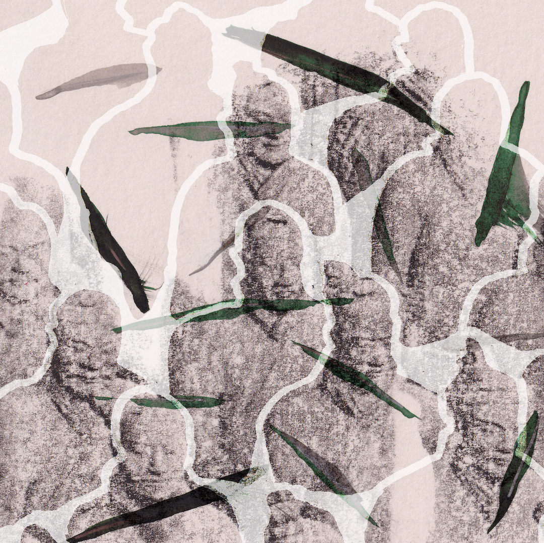 Warriors and bird feathers